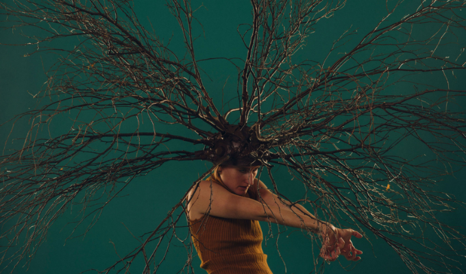 A dancer performing with arms outstretched in front of them and wearing a large head piece resembling a tree trunk and branches.